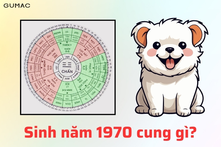 Nam Sinh 1970 Cung Gì? Khám Phá Bí Ẩn Từ Cung Mệnh Của Người Sinh Năm 1970