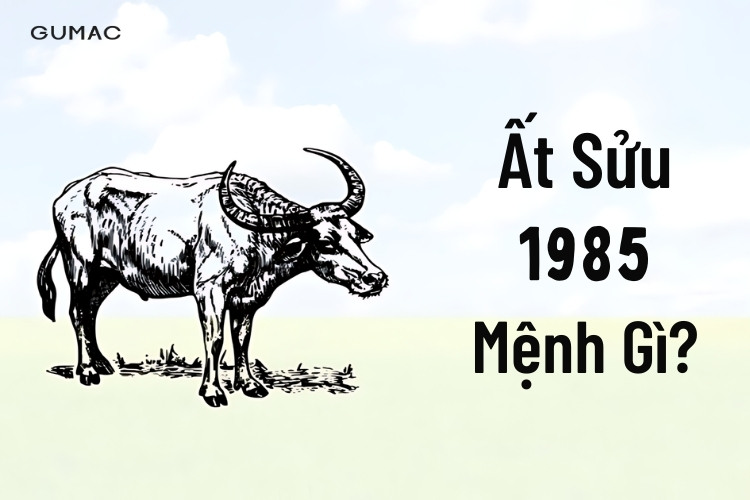Con Gái 1985 Hợp Màu Gì? Khám Phá Màu Sắc May Mắn và Phong Thủy Tốt Nhất