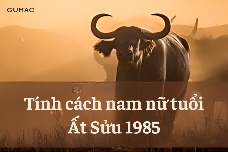tinh cach cua nguoi sinh nam 1985 At Suu