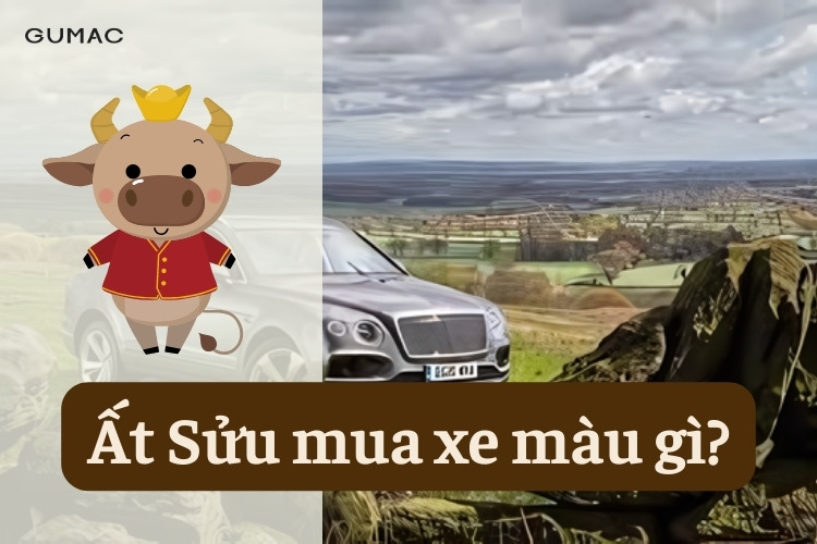 at suu hop voi xe mau gi