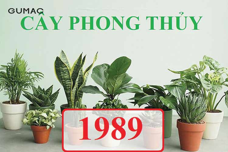 Mệnh Mộc 1989 hợp cây gì