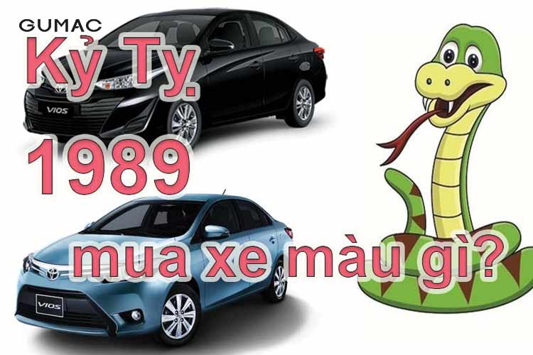 Tuổi Tỵ 89 Hợp Màu Gì? Bí Quyết Chọn Màu Sắc Phong Thủy Hợp Mệnh