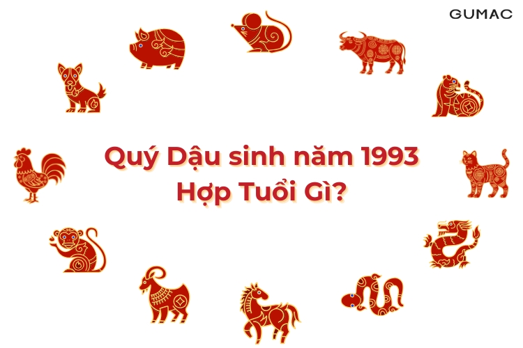 quy dau sinh nam 1993 hop voi tuoi nao