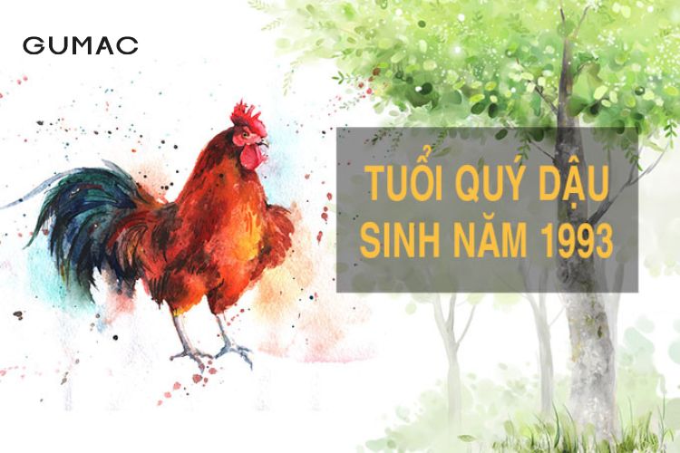 Phối Màu Cho Trang Phục và Nội Thất