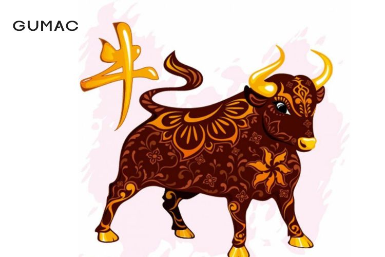 nam nu tuoi dinh suu 1997 hop tuoi nao