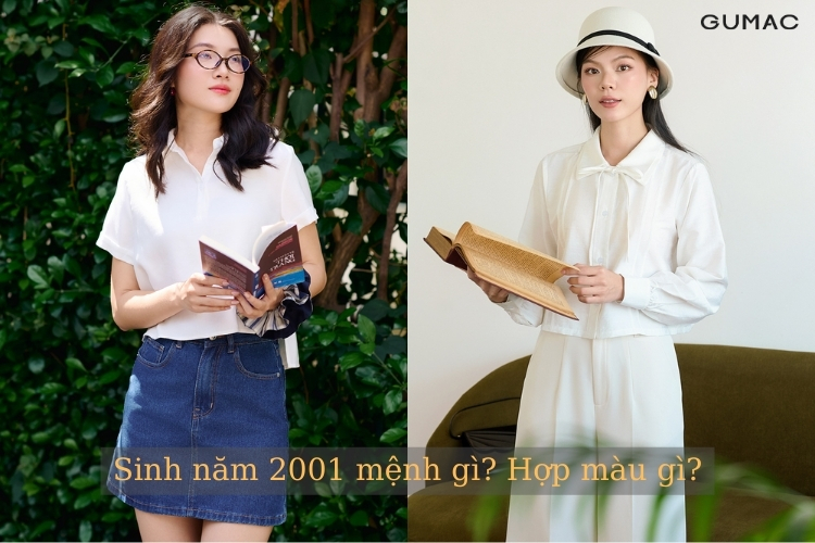 sinh nam 2001 menh gi hop mau gi