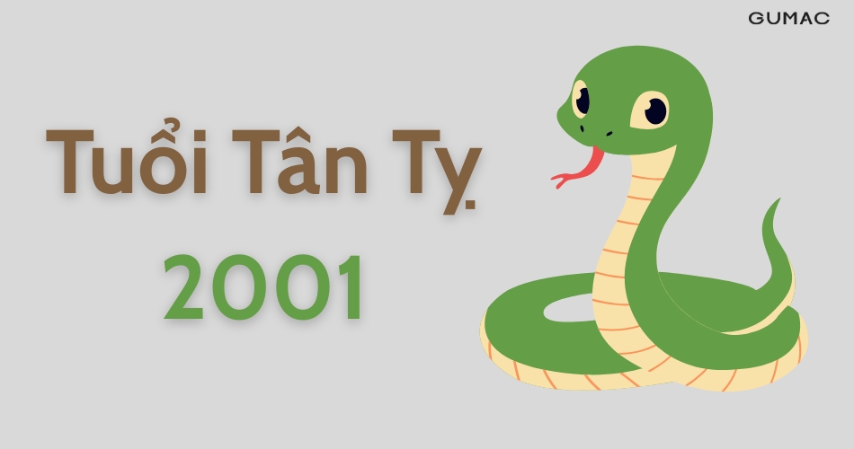 tuoi tan ty 2001 menh gi hop mau gi