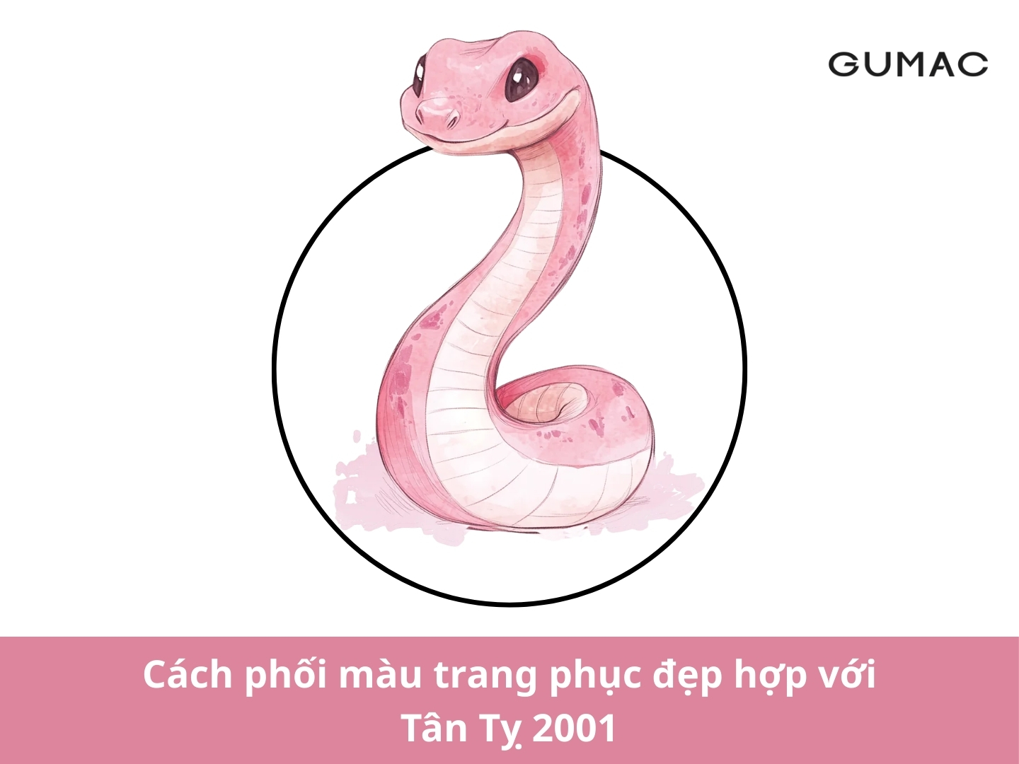 tuoi ty 2001 hop mau gi cach phoi mau trang phuc dep hop voi tan ty 2001