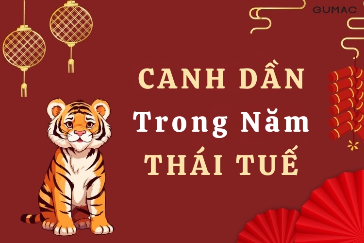 nhung dieu canh dan can luu y trong nam thai tue
