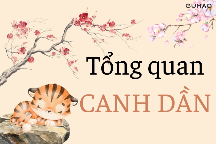 Sinh năm 2010 mệnh gì hợp màu gì, kỵ màu gì, hợp tuổi nào 2025?