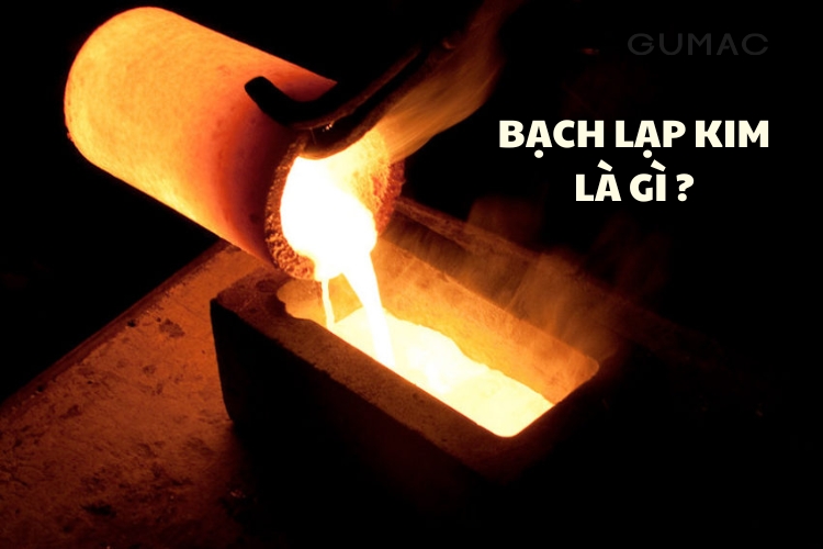 Bạch Lạp Kim là gì?