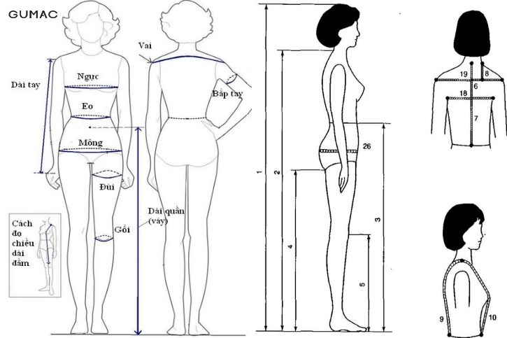 cach do so do cua co the