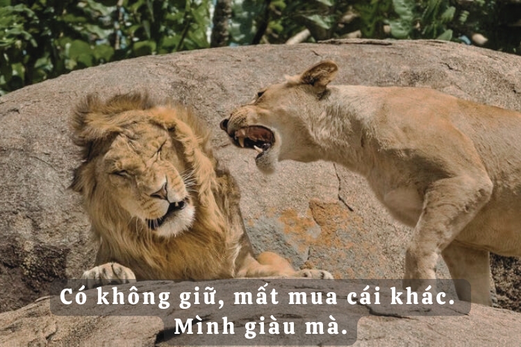 Bật Mí Bí Quyết Đọc Hiểu app mmlive apk – Con Đường Tới Thành Công