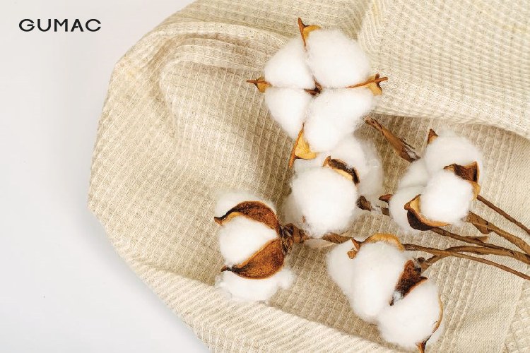 Cotton thiên nhiên