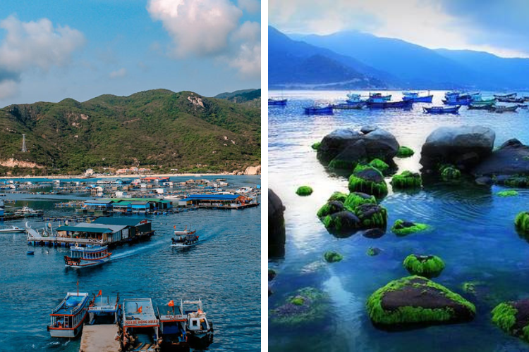 tham quan du lịch đảo bình hưng