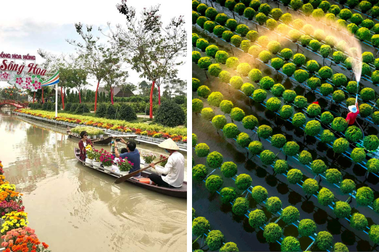 Làng hoa Sadec - Đồng Tháp Làng hoa Sadec - Đồng Tháp