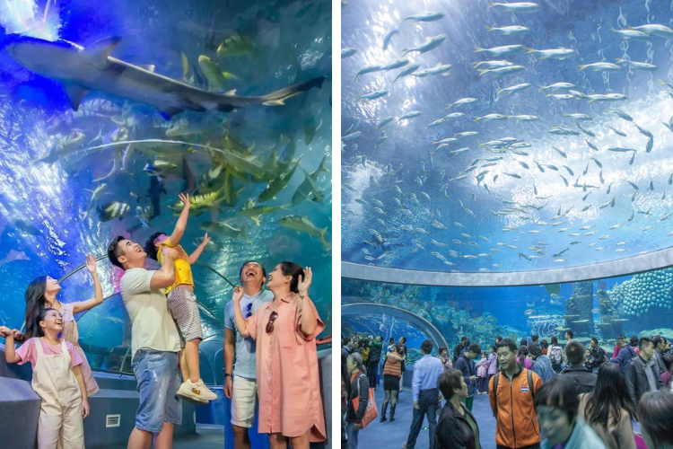 Viện Hải Dương học - Nha Trang Viện Hải Dương học - Nha Trang