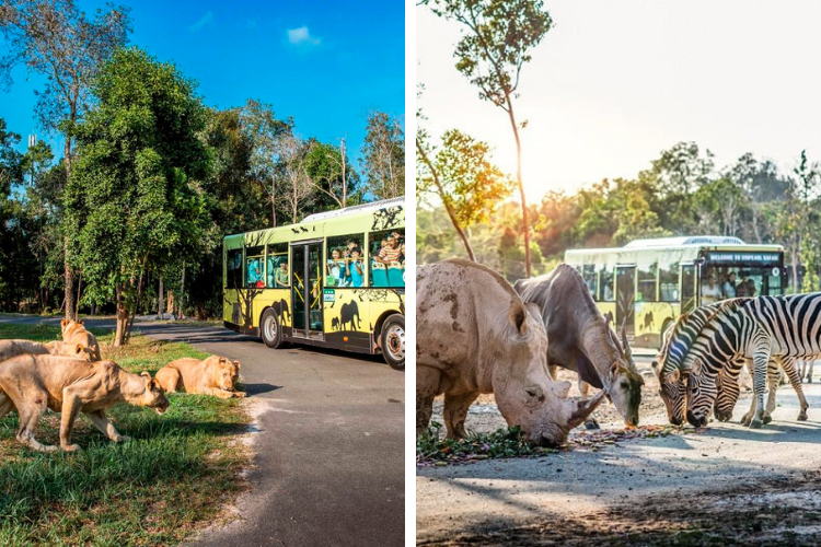 Vinpearl Safari Phú Quốc - đảo Phú Quốc Vinpearl Safari Phú Quốc - đảo Phú Quốc