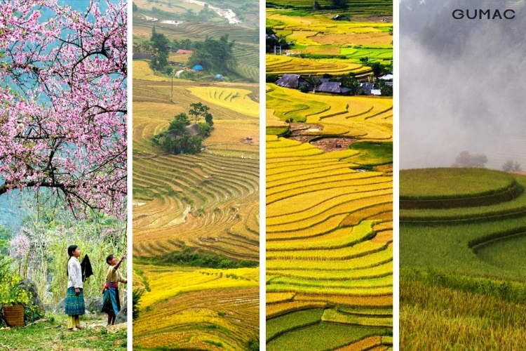 Các mùa tại Mù Cang Chải