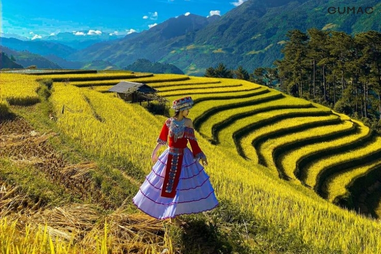 Mặc gì khi đi ruộng bậc thang Mù Cang Chải