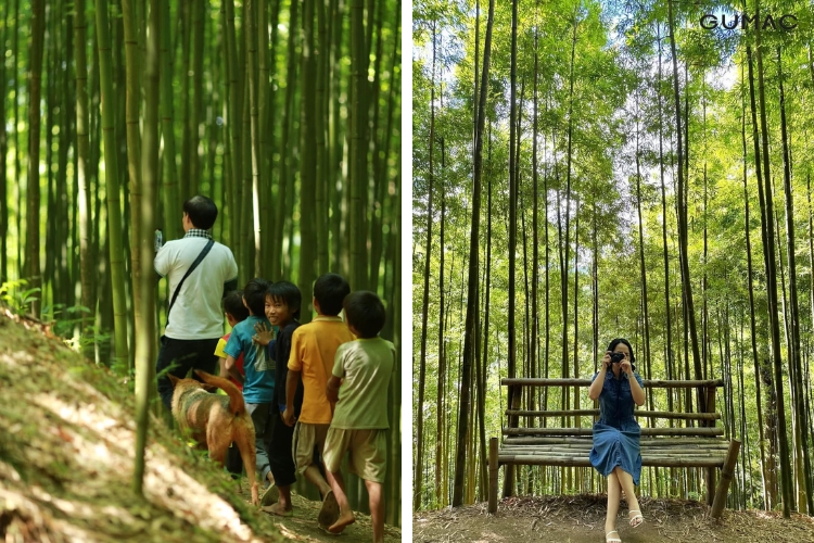 Outfit đi Rừng Trúc Mù Cang Chải