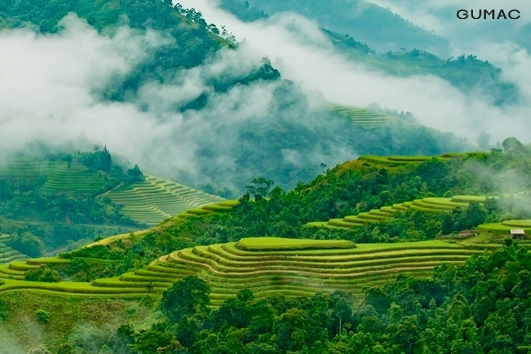 Mùa đông ở Mù Cang Chải