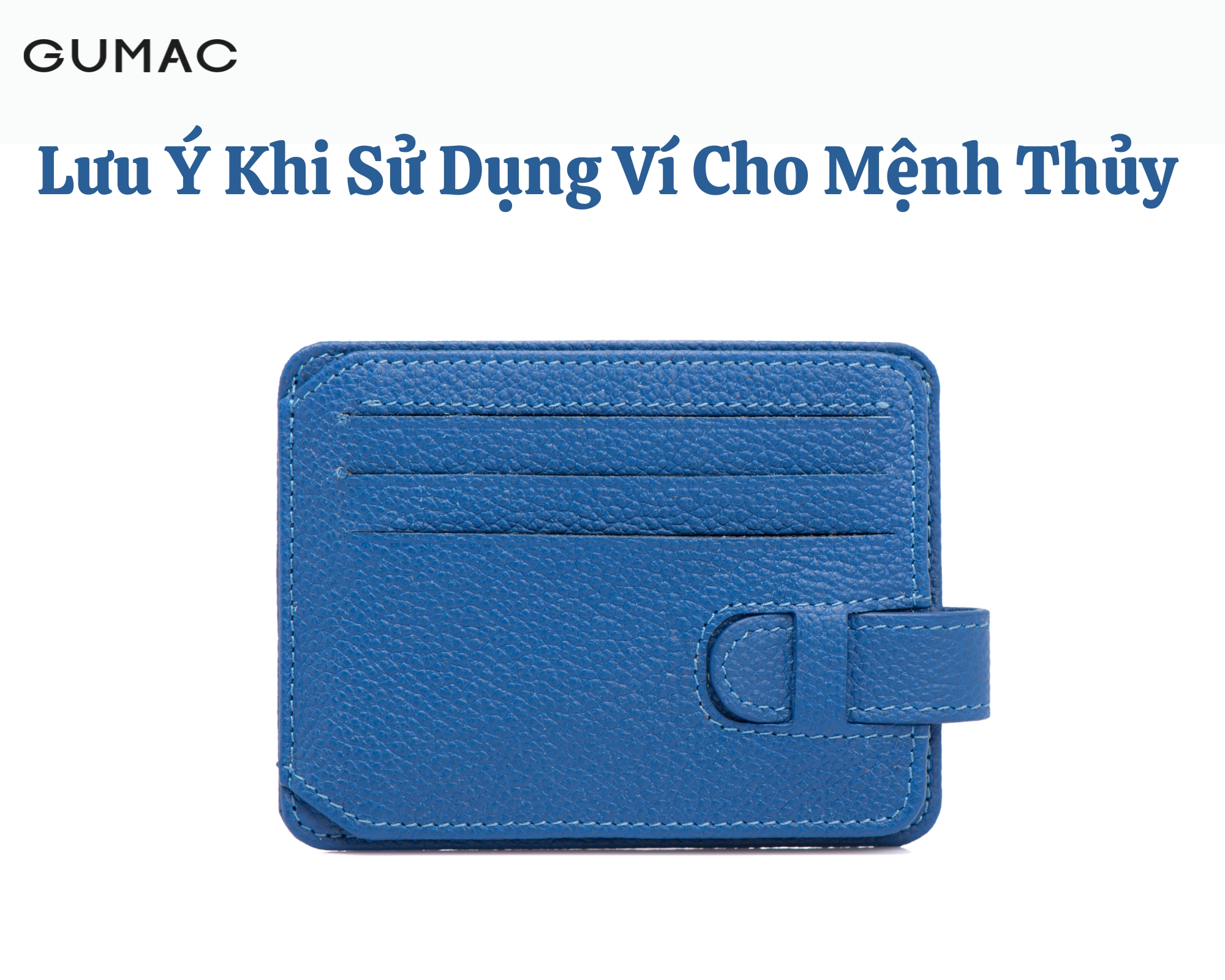 mot so luu y khi su dung vi cho menh thuy