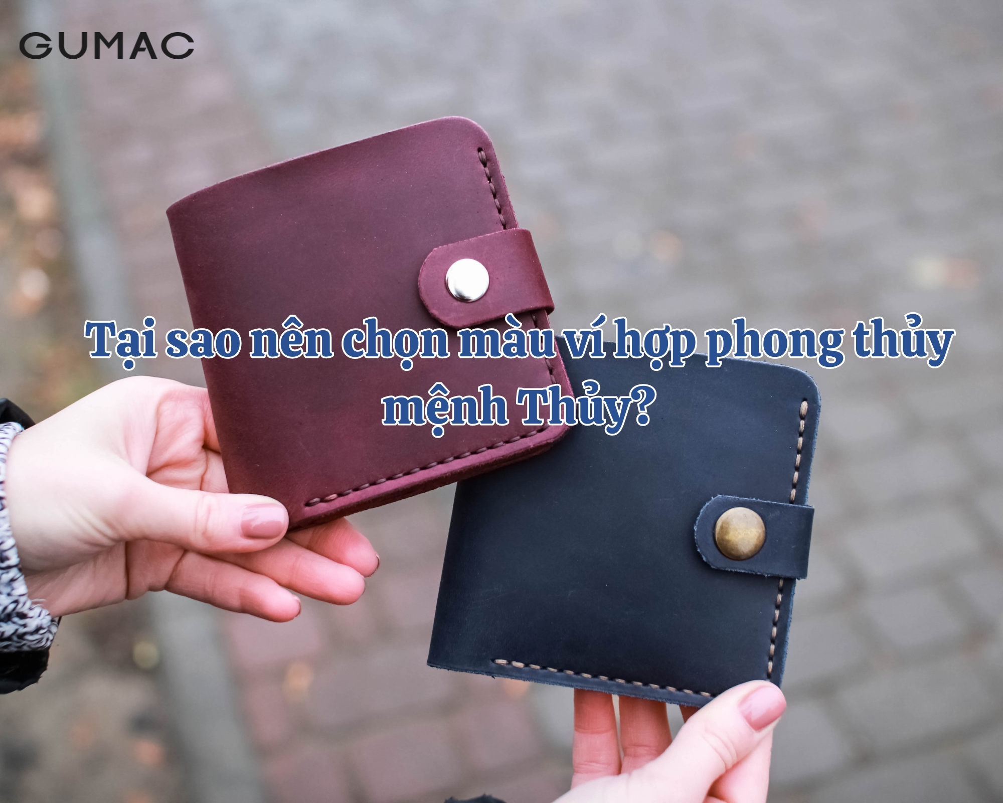 tai sao nen chon mau vi hop phong thuy menh thuy