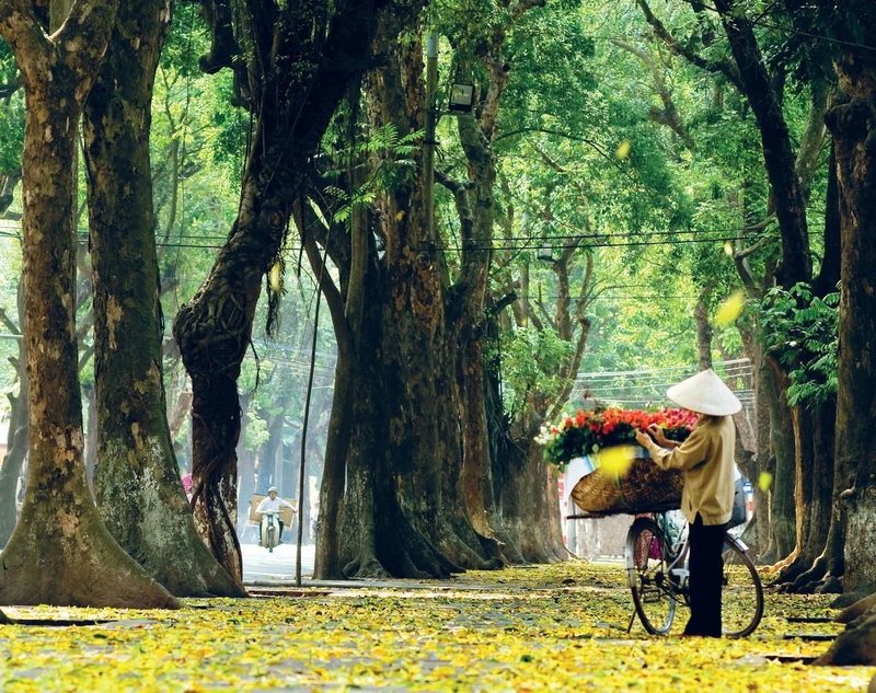 Kinh nghiệm du lịch Hà Nội mùa thu.