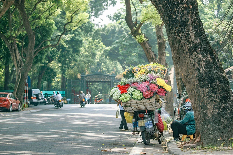 Mùa thu Hà Nội không chỉ được nhận biết qua nhiệt độ mà còn thể hiện qua nhiều thay đổi trong cảnh vật và nhịp sống.