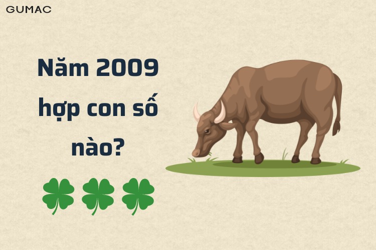 nam 2009 hop con so nao