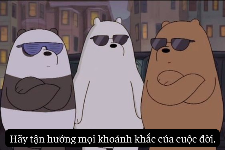 Nhung cau tus hay dat avt fb