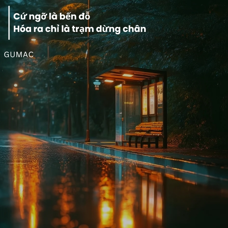 nhung cau stt hay khi dang anh facebook