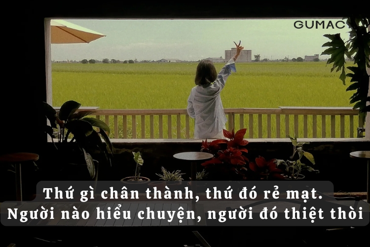 tong hop nhung cau stt hay khi dang anh facebook