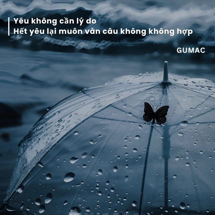 stt hay va cap dang anh fb