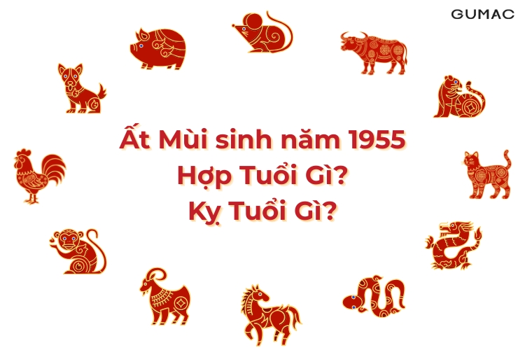 at mui sinh nam 1955 hop va ky tuoi nao