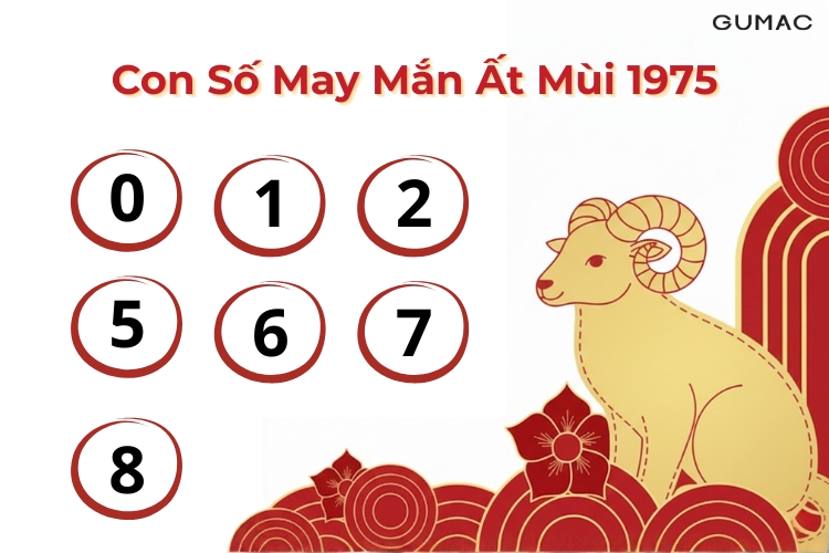 at mui sinh nam 1955 hop con so nao