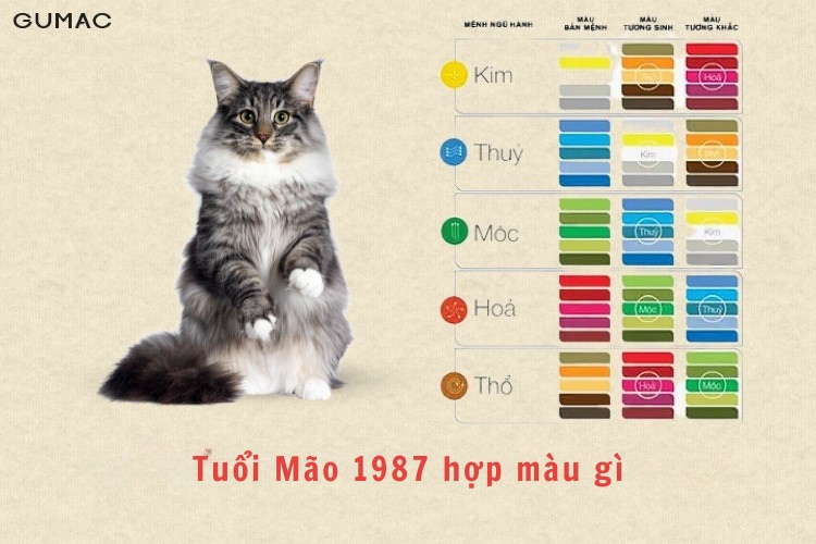 4. Ứng dụng màu sắc trong cuộc sống