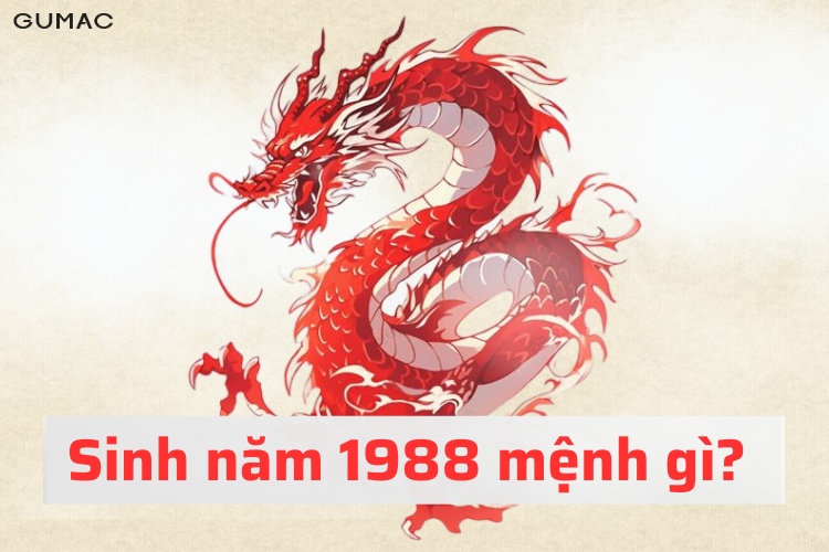 nguoi sinh nam 1988 menh gi