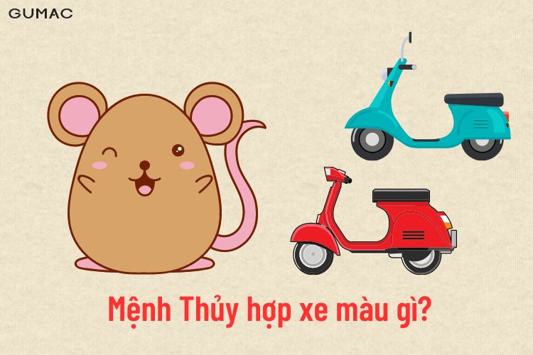 menh Thuy binh ty 1996 xe gi