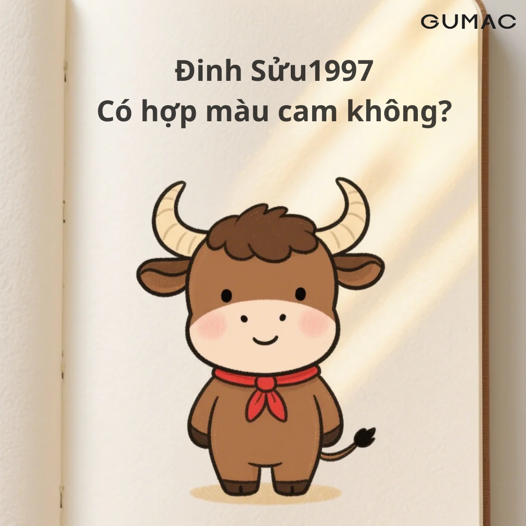 1997 co hop mau cam khong