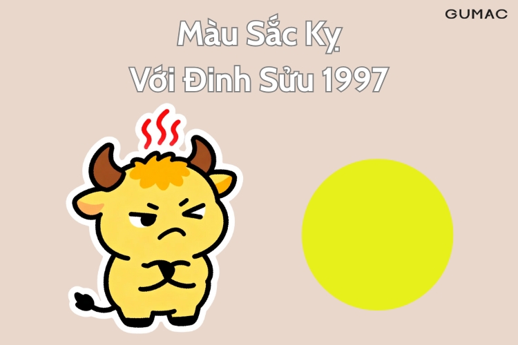 dinh suu ky mau gi