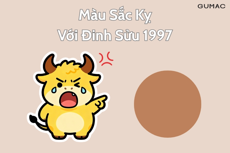 dinh suu 1997 ky mau gi