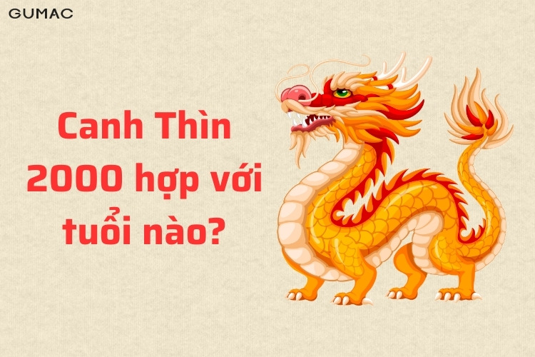 nguoi sinh nam 2000 canh thin hop voi tuoi nao