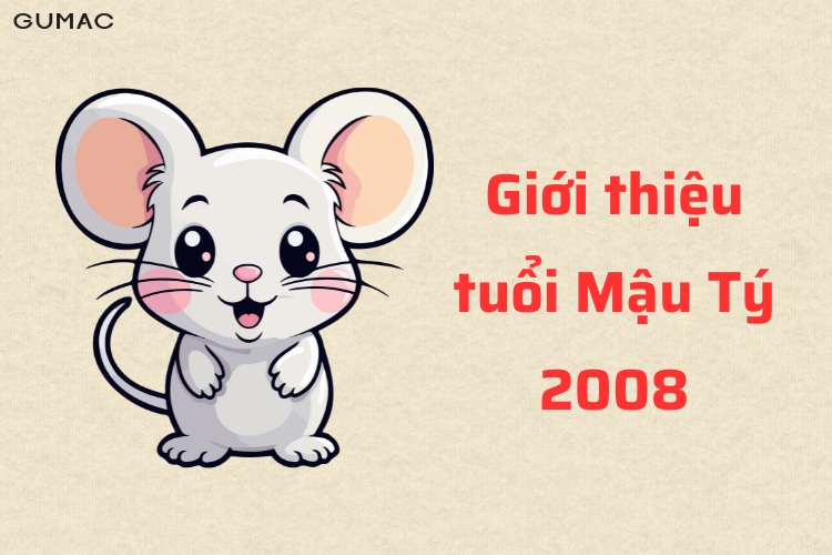 Mậu Tý hợp với màu gì? Bí quyết chọn màu sắc phong thủy cho tuổi 2008