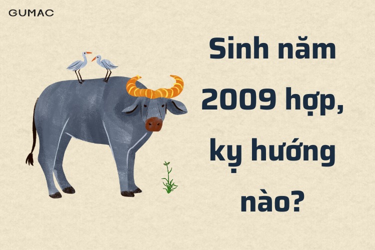 sinh nam 2009 hop ky huong nao