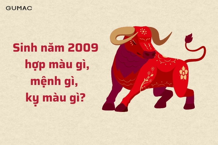 sinh nam 2009 hop mau gi menh gi ky mau gi