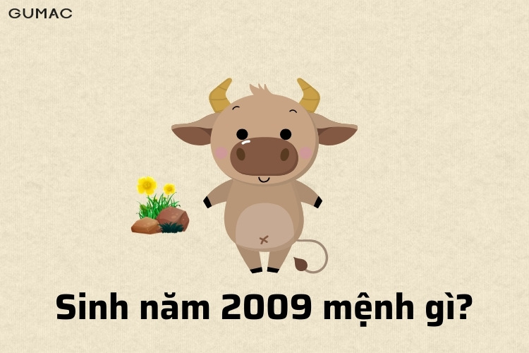 sinh năm 2009 menh gi