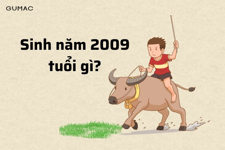 sinh nam 2009 tuoi gì