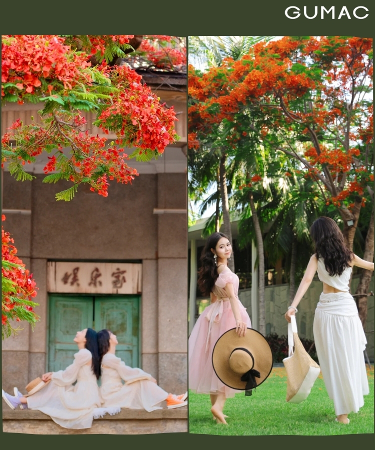 chup anh hoa phuong va ban than